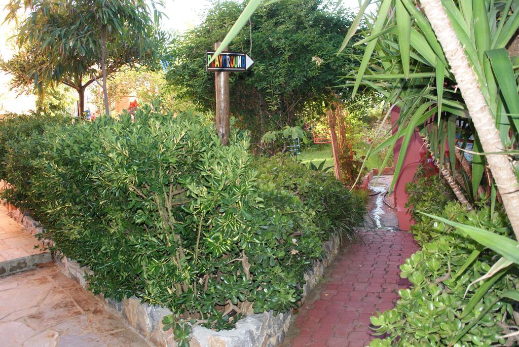 Poledas Apartments Georgioupoli Room photo